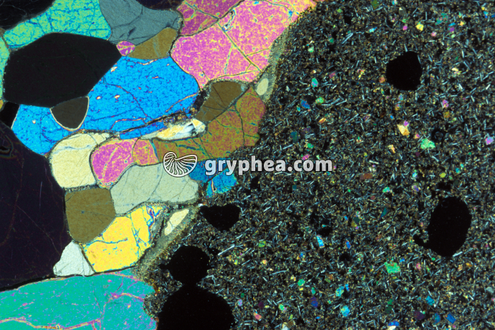 Péridotite dans basalte LPA x3 - gryphea.com